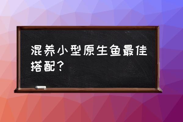 一二三年级画孔雀鱼 混养小型原生鱼最佳搭配？