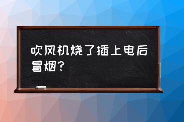 电吹风使用过程冒火花 吹风机烧了插上电后冒烟？