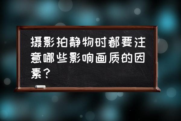 如何拍好静物摄影技巧 摄影拍静物时都要注意哪些影响画质的因素？