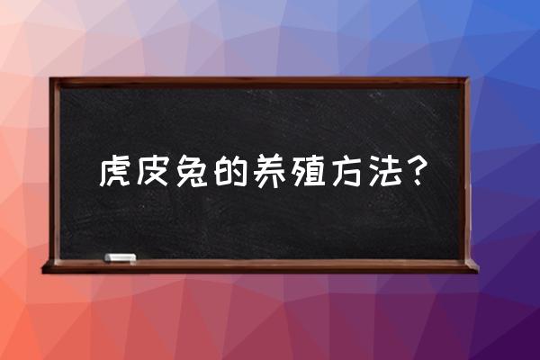 怎么预防兔瘟最好方法 虎皮兔的养殖方法？