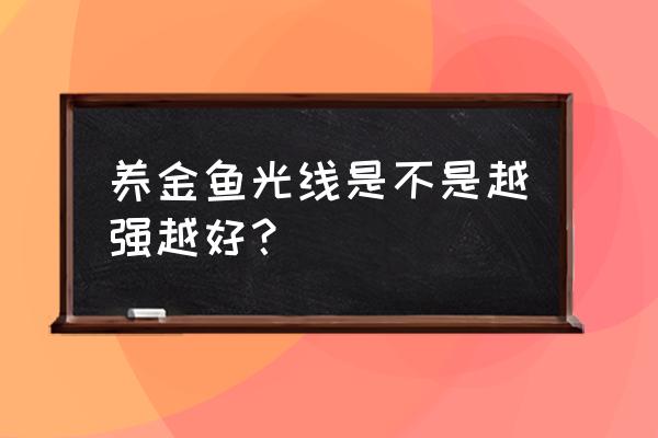 金灯花的栽培方法 养金鱼光线是不是越强越好？