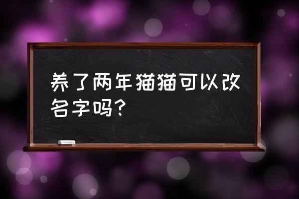 怎么训练猫猫换名字 养了两年猫猫可以改名字吗？