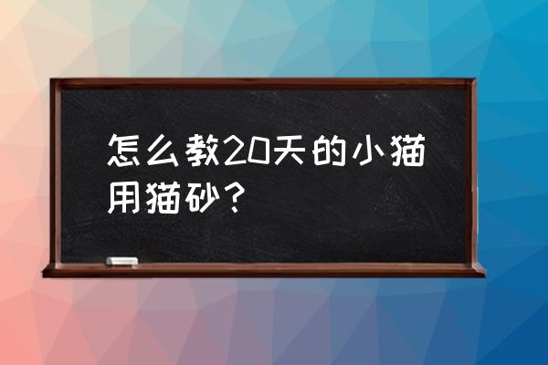 如何教猫咪正确使用猫砂 怎么教20天的小猫用猫砂？