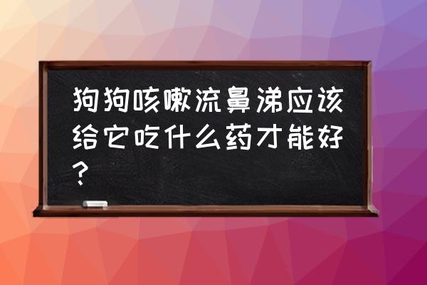 狗狗咳嗽好了流鼻涕怎么办啊 狗狗咳嗽流鼻涕应该给它吃什么药才能好？