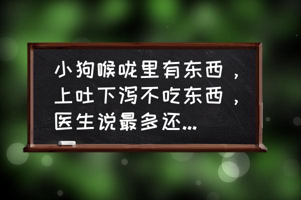 狗上吐下泻不吃不喝能自己恢复吗 小狗喉咙里有东西，上吐下泻不吃东西，医生说最多还能活两天，谁能帮帮我？