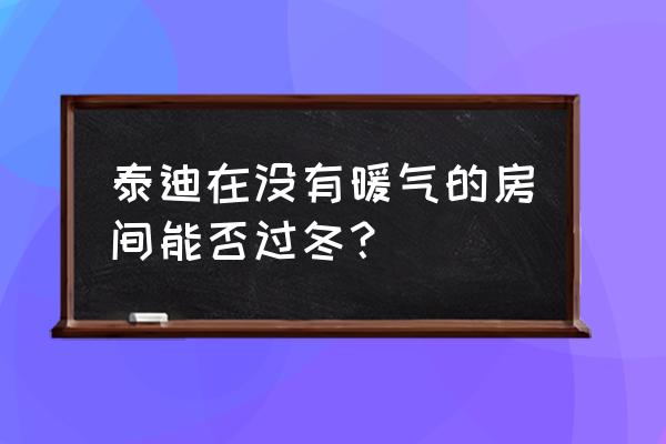 怎么制作泰迪犬宝宝的屋子 泰迪在没有暖气的房间能否过冬？