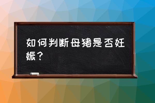 怎样判断自己已经怀孕 如何判断母猪是否妊娠？