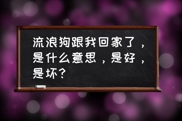 流浪狗怎么喂回家的狗粮 流浪狗跟我回家了，是什么意思，是好，是坏？