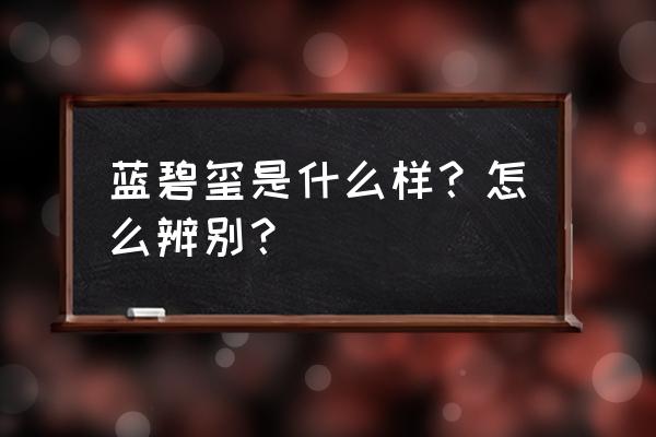 碧玺好坏怎么认识 蓝碧玺是什么样？怎么辨别？