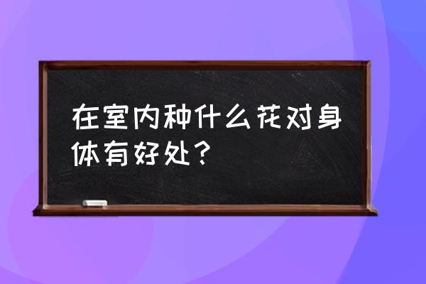 十种最旺家庭的花卉 在室内种什么花对身体有好处？