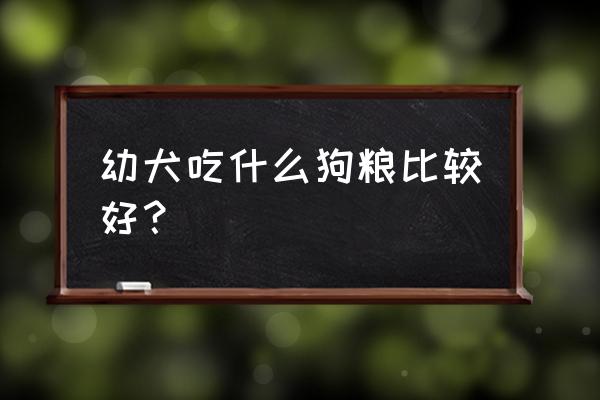 小型宠物狗吃什么食品比较好呢 幼犬吃什么狗粮比较好？