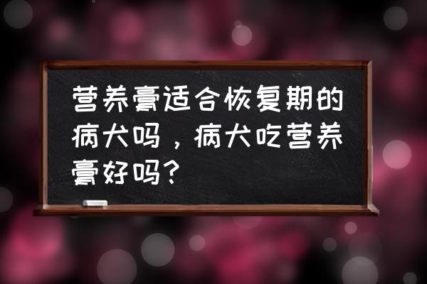 宠物营养补充液怎么用 营养膏适合恢复期的病犬吗，病犬吃营养膏好吗？