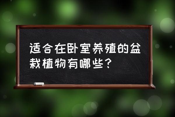 自家房屋边缘可以种什么盆栽 适合在卧室养殖的盆栽植物有哪些？