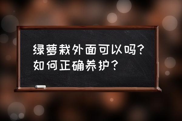 绿萝适合地栽么 绿萝栽外面可以吗？如何正确养护？