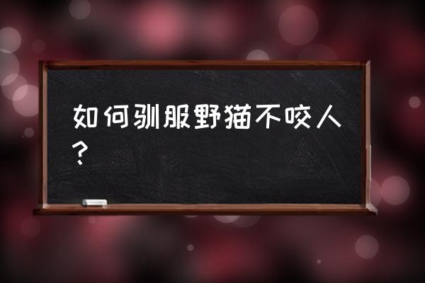 猫怕人怎么让它不怕别人 如何驯服野猫不咬人？