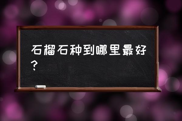 石榴石最好的是哪种 石榴石种到哪里最好？