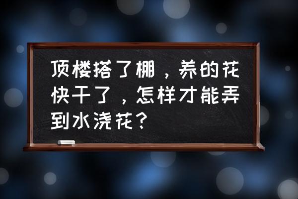 外面水缸里的水可以养花吗 顶楼搭了棚，养的花快干了，怎样才能弄到水浇花？